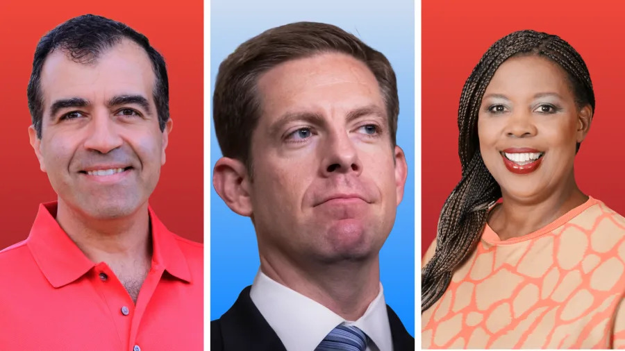 <em>Congressional candidates for CA-49 (campaign courtesy). </em>