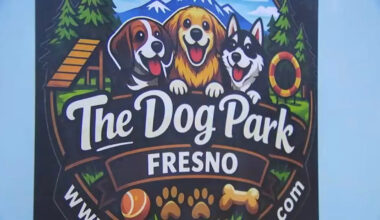Fresno indoor dog park set to open, offering climate-controlled space for pets