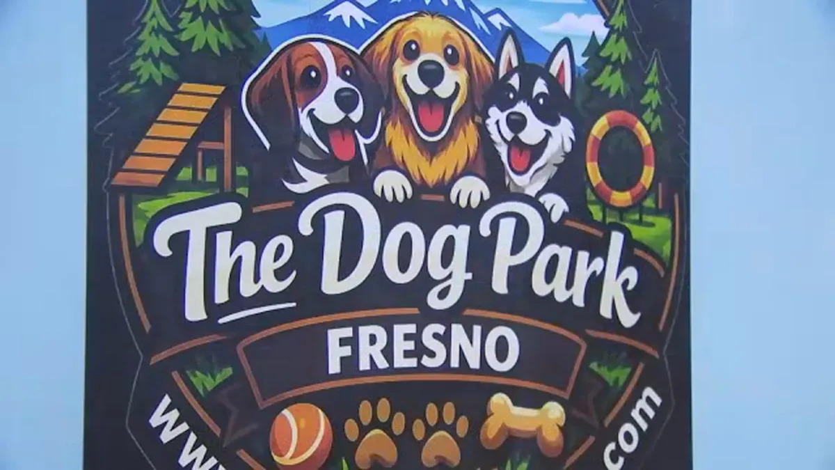 Fresno indoor dog park set to open, offering climate-controlled space for pets