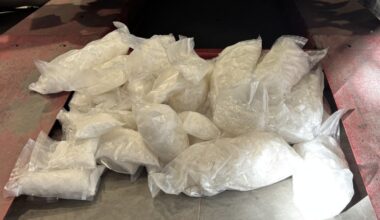 Alleged honeymooners busted with 163 pounds of meth at California border