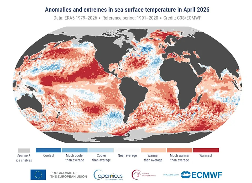 Anomalies and extremes in sea surface temperature for April 2026. Data source: ERA5. Credit: C3S/ECMWF. C3S/ECMWF