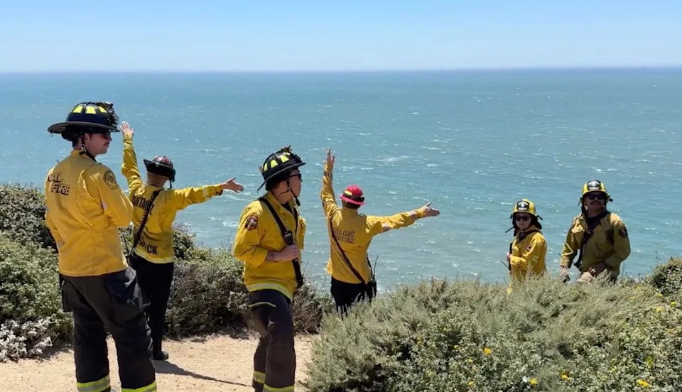 CAL FIRE CZU