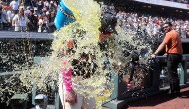 Harrison Bader's 2nd grand slam in 6 days powers the Giants past the White Sox 10-3 :: WRAL.com