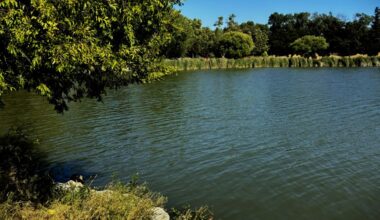 Victim drowns in San Jose lake