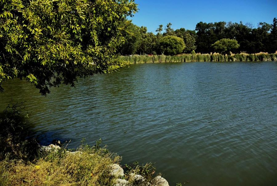 Victim drowns in San Jose lake