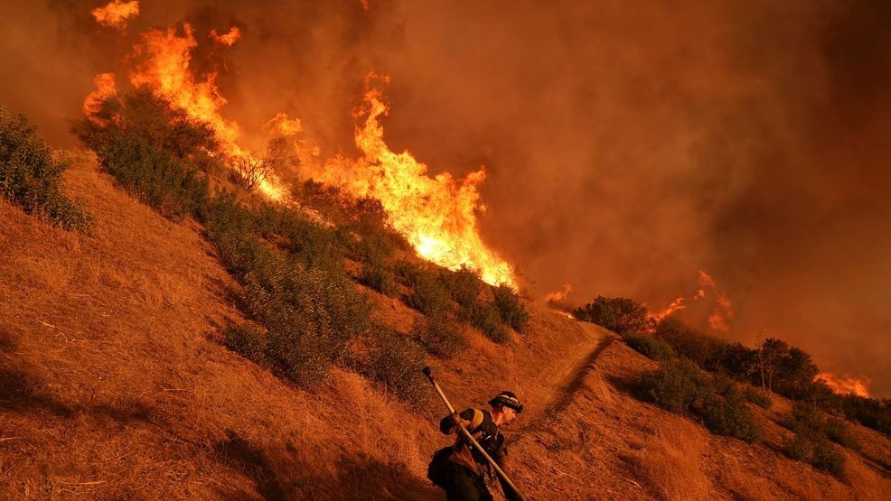 FILE - A firefighter battles the Palisades Fire in Mandeville Canyon, Jan. 11, 2025, in Los Angeles. (AP Photo/Jae C. Hong, File)