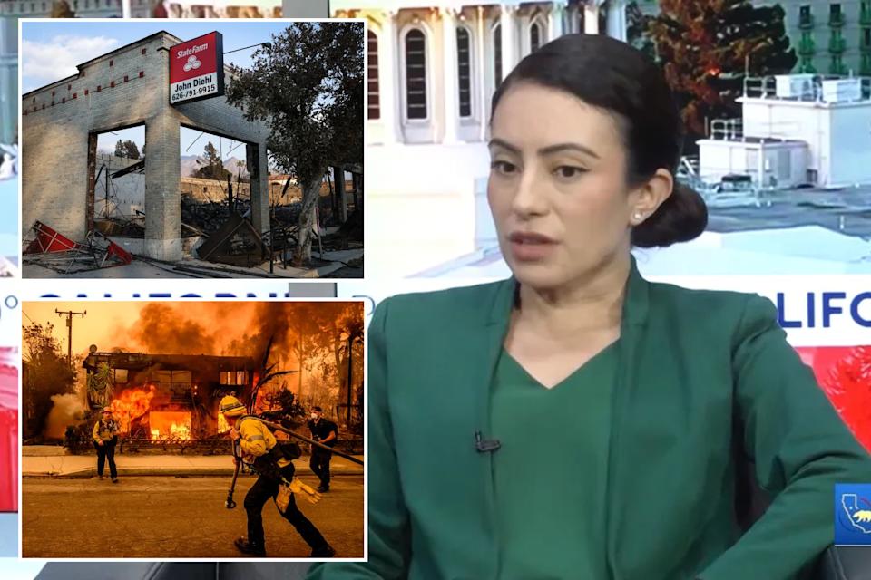 An image collage containing 3 images, Image 1 shows A woman in a green jacket speaking on 