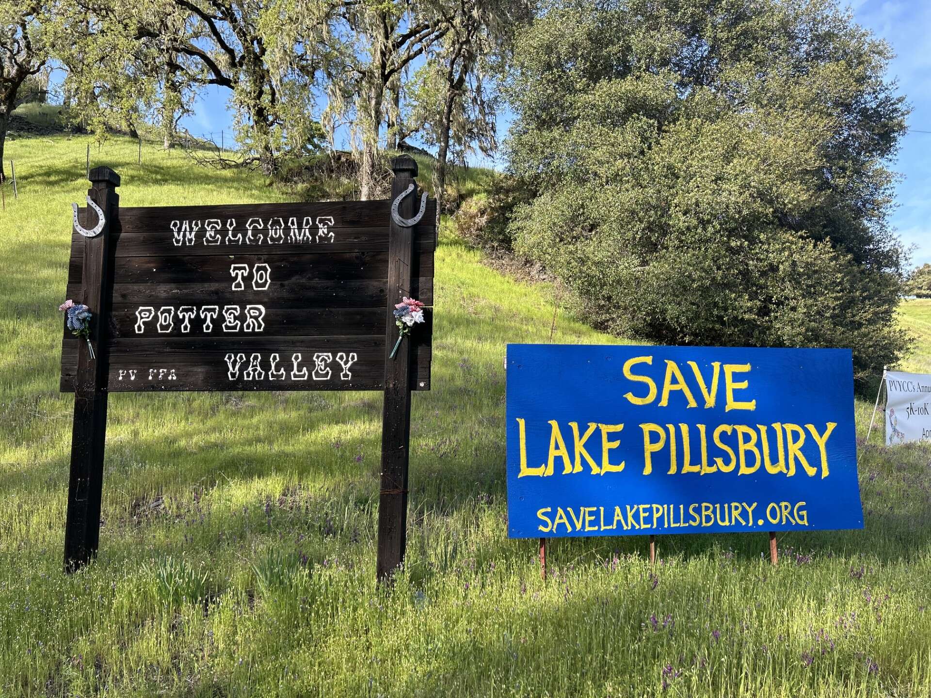 'Save Lake Pillsbury' signs can be spotted throughout the Lake...