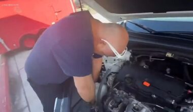 Curious kitten pulled from car engine in Long Beach