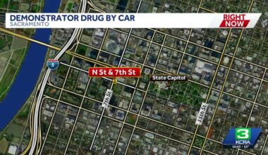 Police: Demonstrator dragged by federal employee's vehicle