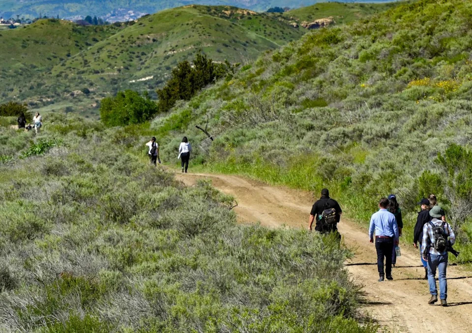 The alarming spike in snake encounters comes as warmer weather lures more hikers outdoors and increases rattlesnake activity across Southern California. MediaNews Group via Getty Images