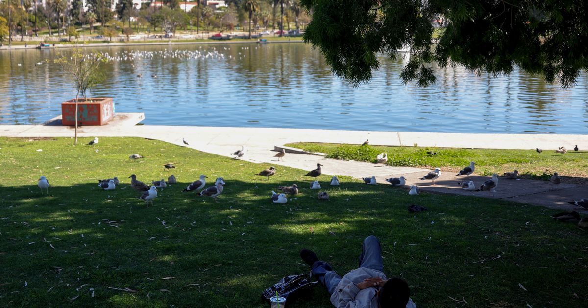Federal authorities arrest 18 for alleged drug distribution around Los Angeles park :: WRAL.com