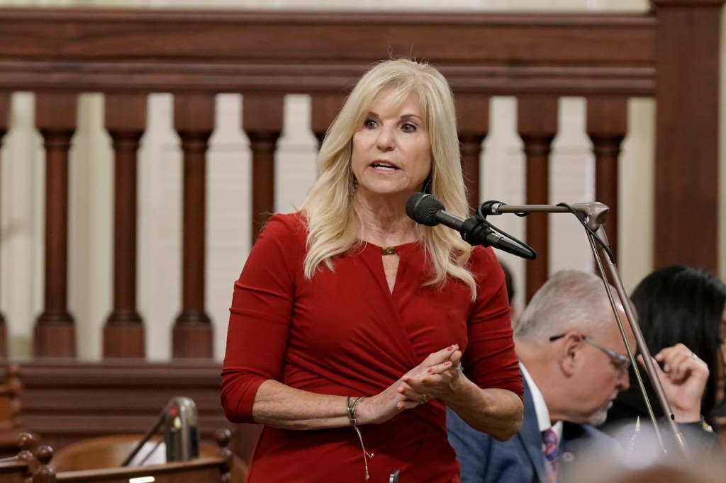 Meet Laurie Davies, candidate for California State Assembly District 74 – San Diego Union-Tribune