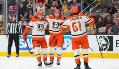 Ducks see ‘room to get better’ after gaining playoff experience – Orange County Register