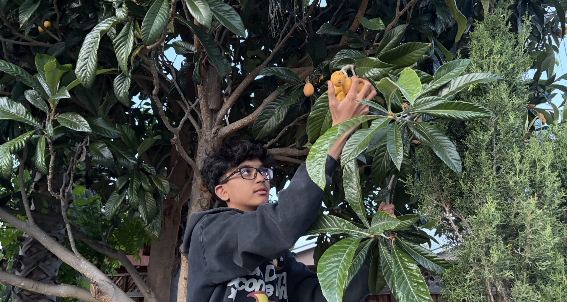 Santa Clara teen Aadit Mehta founded Loquat4Humanity to help raise funds for Good Samaritan Hospital and its NICU department.