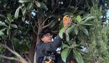 Santa Clara teen Aadit Mehta founded Loquat4Humanity to help raise funds for Good Samaritan Hospital and its NICU department.