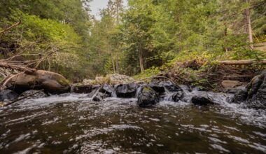 Amazon Backs California Watershed Restoration