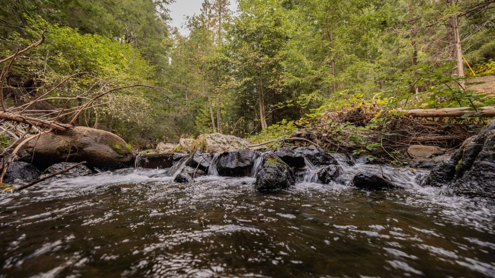 Amazon Backs California Watershed Restoration