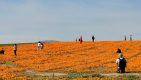 May 25: State Parks Offer Free Admission to Veterans, Military Members