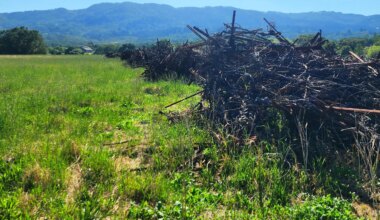 California’s wine boom reached places like Lodi and Edna Valley — now they’re hurting