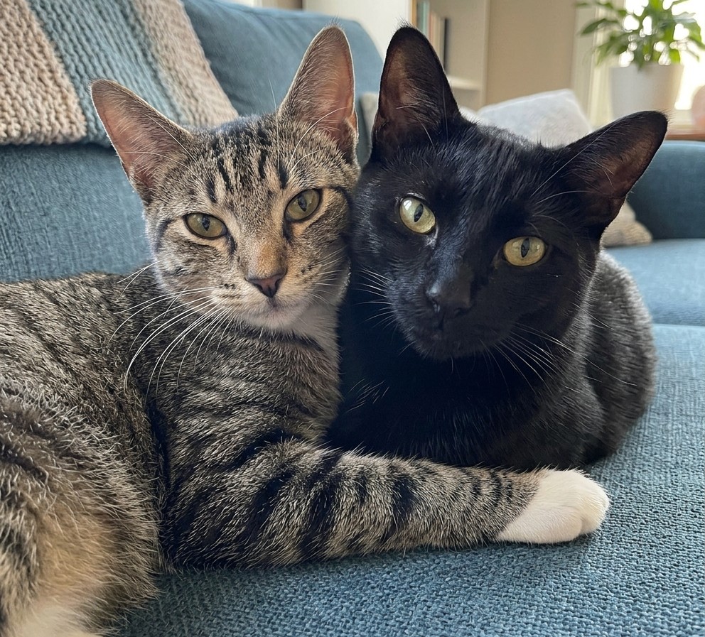 Wendy and Peter Pan are the pets of the week...