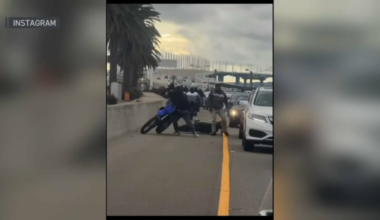Arrests, vehicles impounded following Bay Bridge takeover – NBC Bay Area