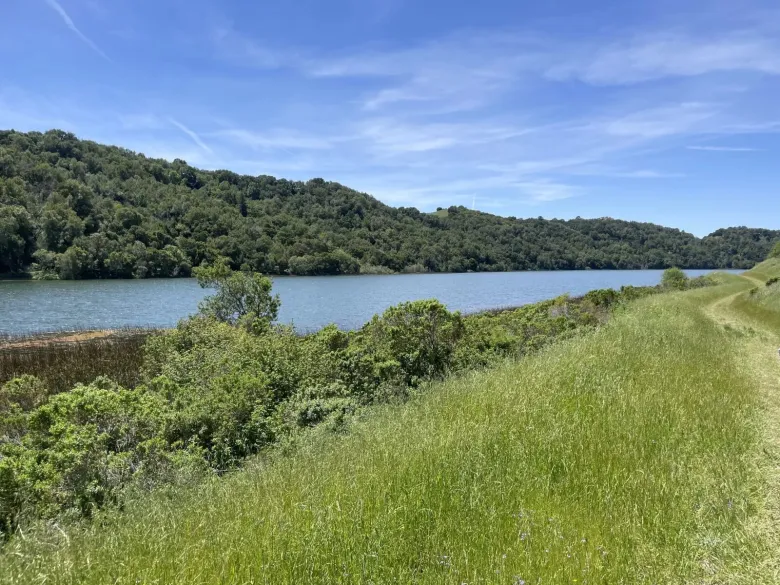 A view of a nearly full reservoir in the valley between two lush, green hillsides