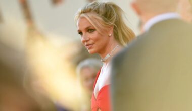 Britney Spears charged with misdemeanor DUI – NBC Los Angeles