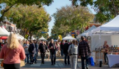 Free, large, lovely: Downtown Burbank Summer Arts Festival is a shop-around gem – NBC Los Angeles