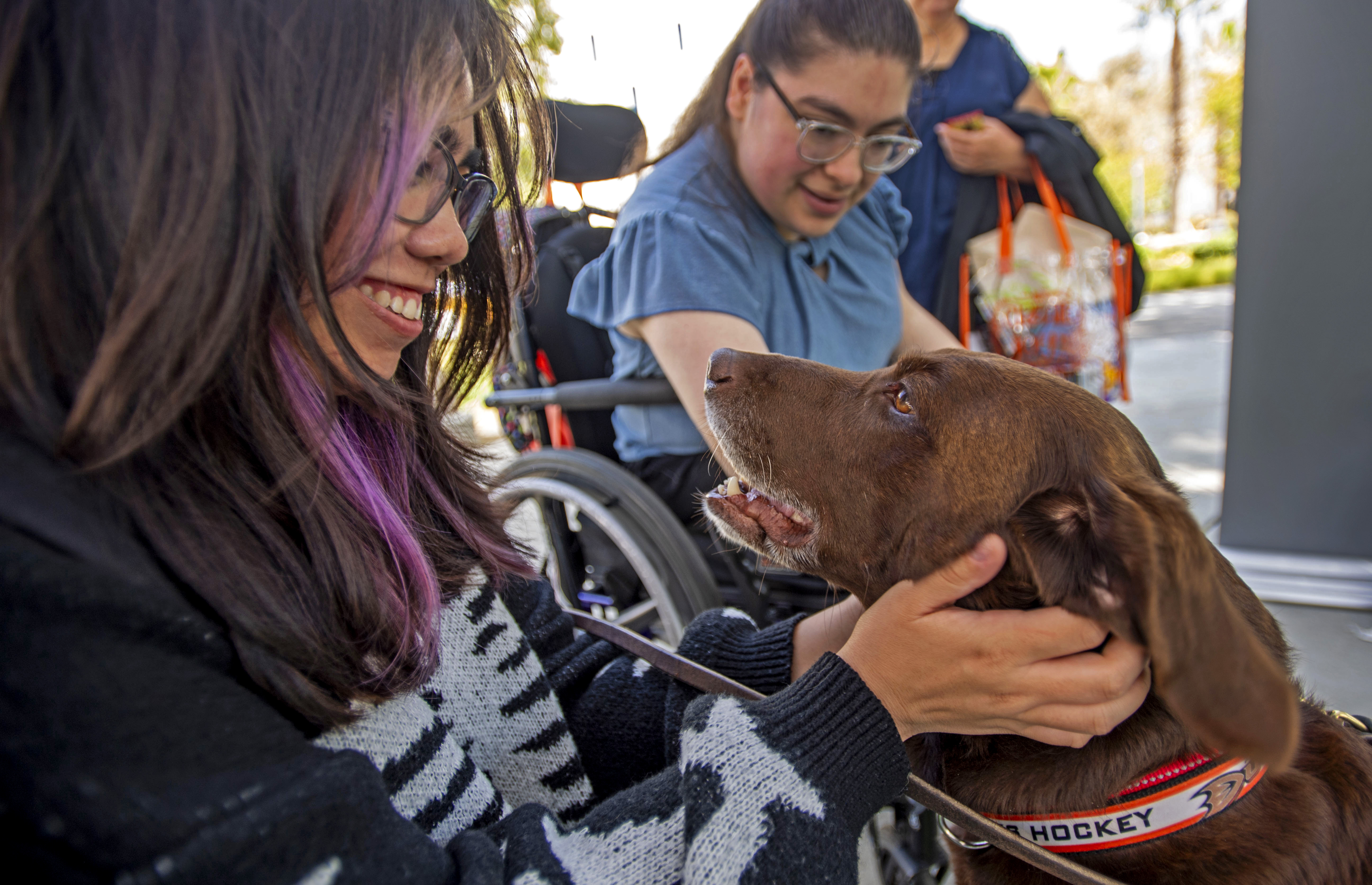 Kirby, one of the therapy dogs shares some long and...