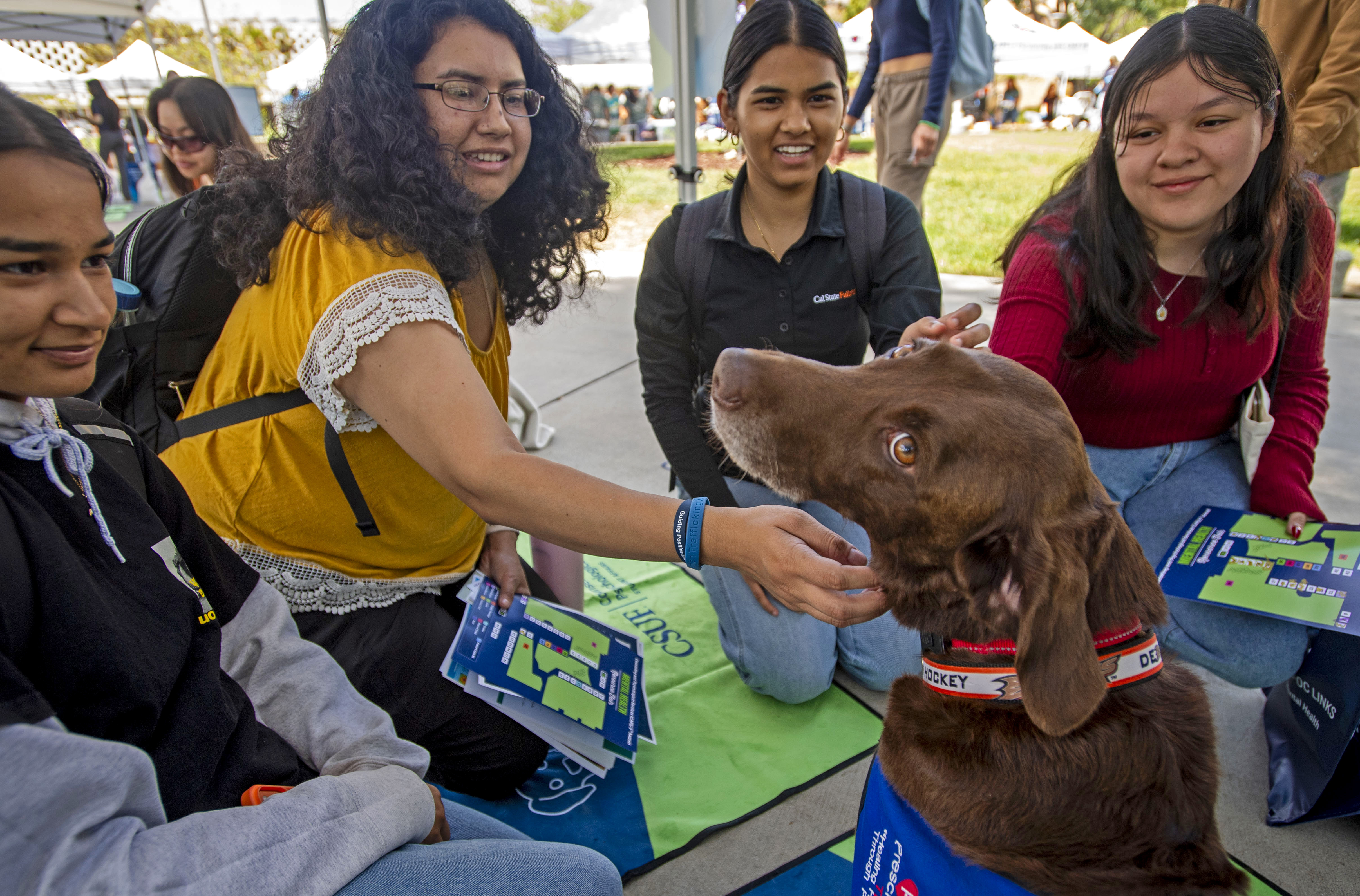 Kirby, one of the therapy dogs is surrounded by admirers...