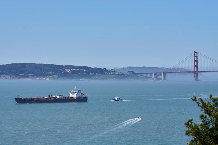 California turns to AI as whale deaths spike