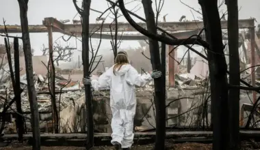 Sensitive documents exposed a flawed algorithm harming California wildfire survivors. A Pulitzer-winning series followed.