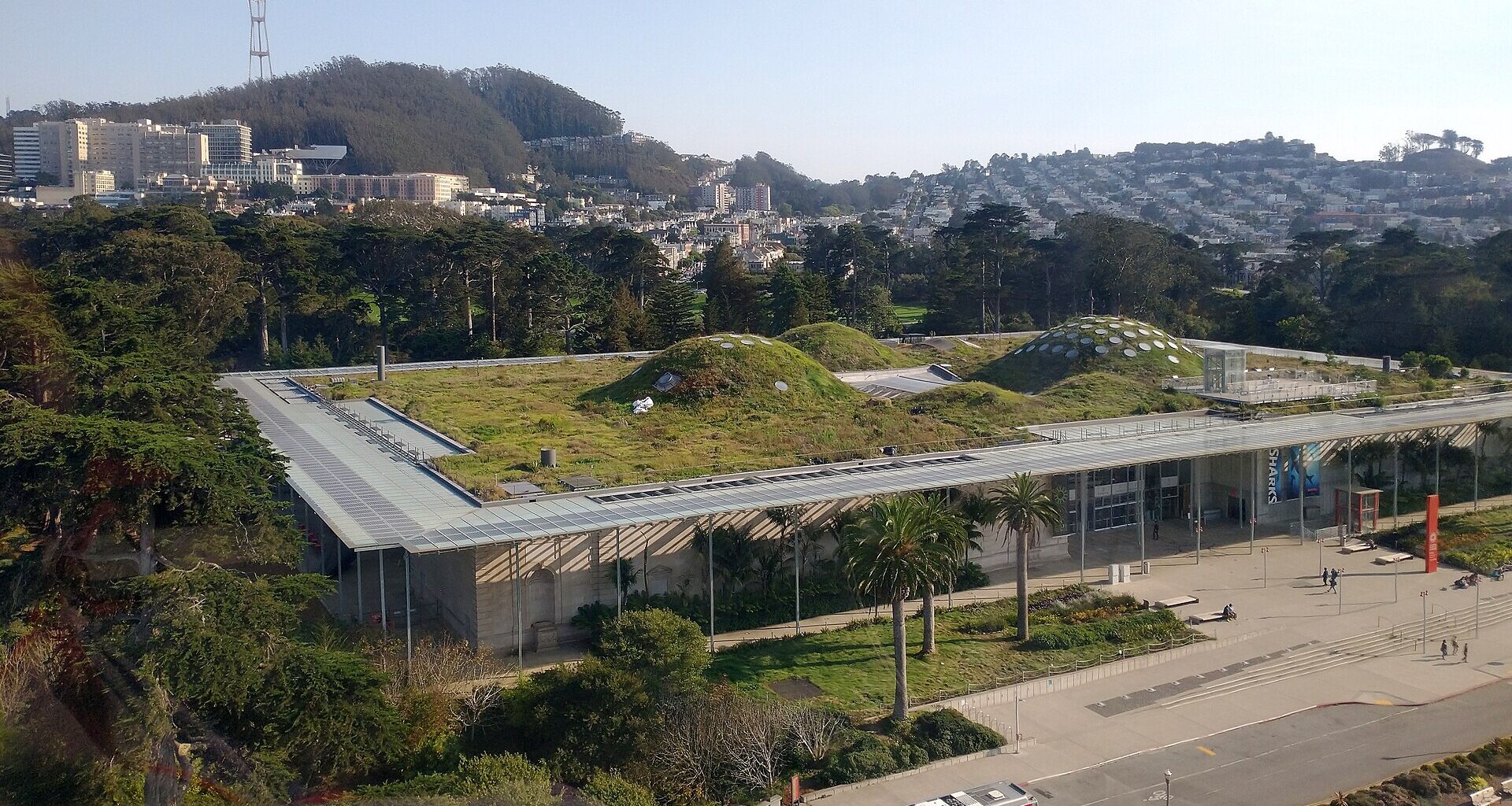 A modern building, like the Academy of Sciences, features a green roof covered in plants, surrounded by trees, with hills, city buildings, and a red bus in the background.