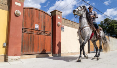 This West Long Beach neighborhood is one of LA’s last horse havens. Yet, it remains under threat