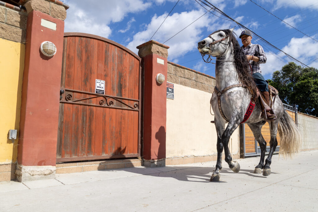 This West Long Beach neighborhood is one of LA’s last horse havens. Yet, it remains under threat