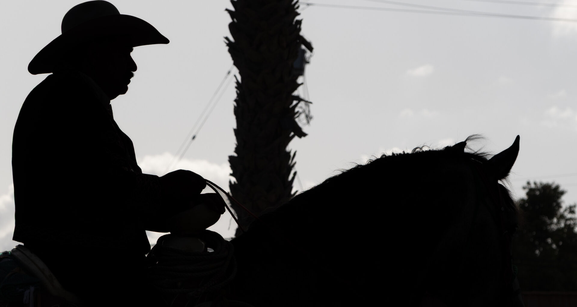 An unseen side of Long Beach — the equestrian community