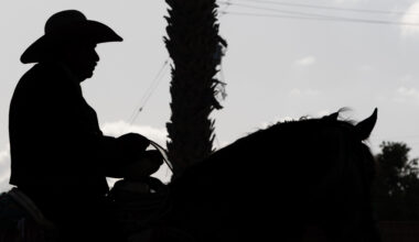 An unseen side of Long Beach — the equestrian community