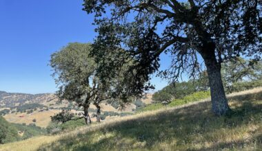 Bay Area on Track to Meet Ambitious 50x50 Conservation Goal