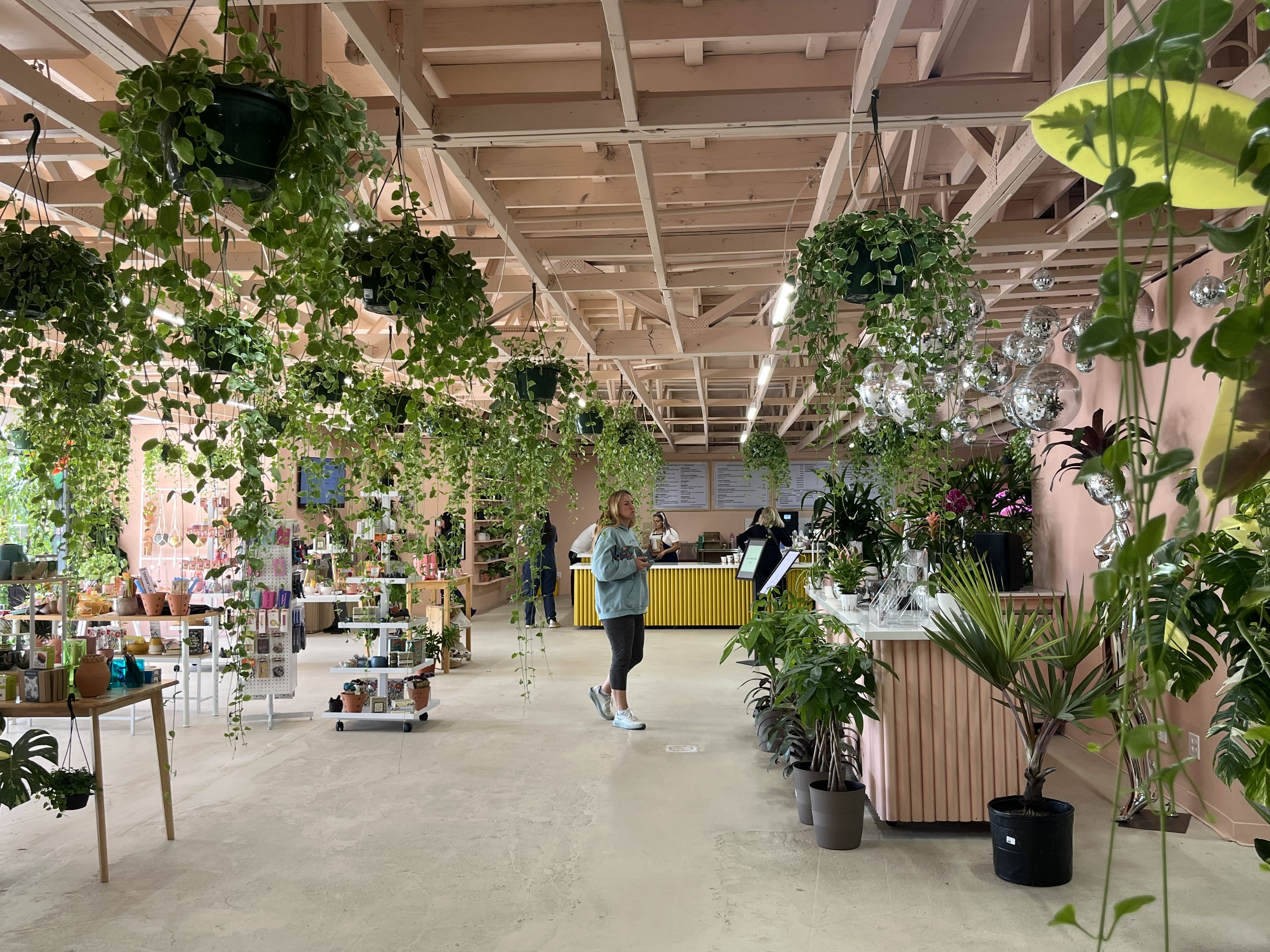 Inside the new Terra Bella Nursery in Del Mar. (Karen...