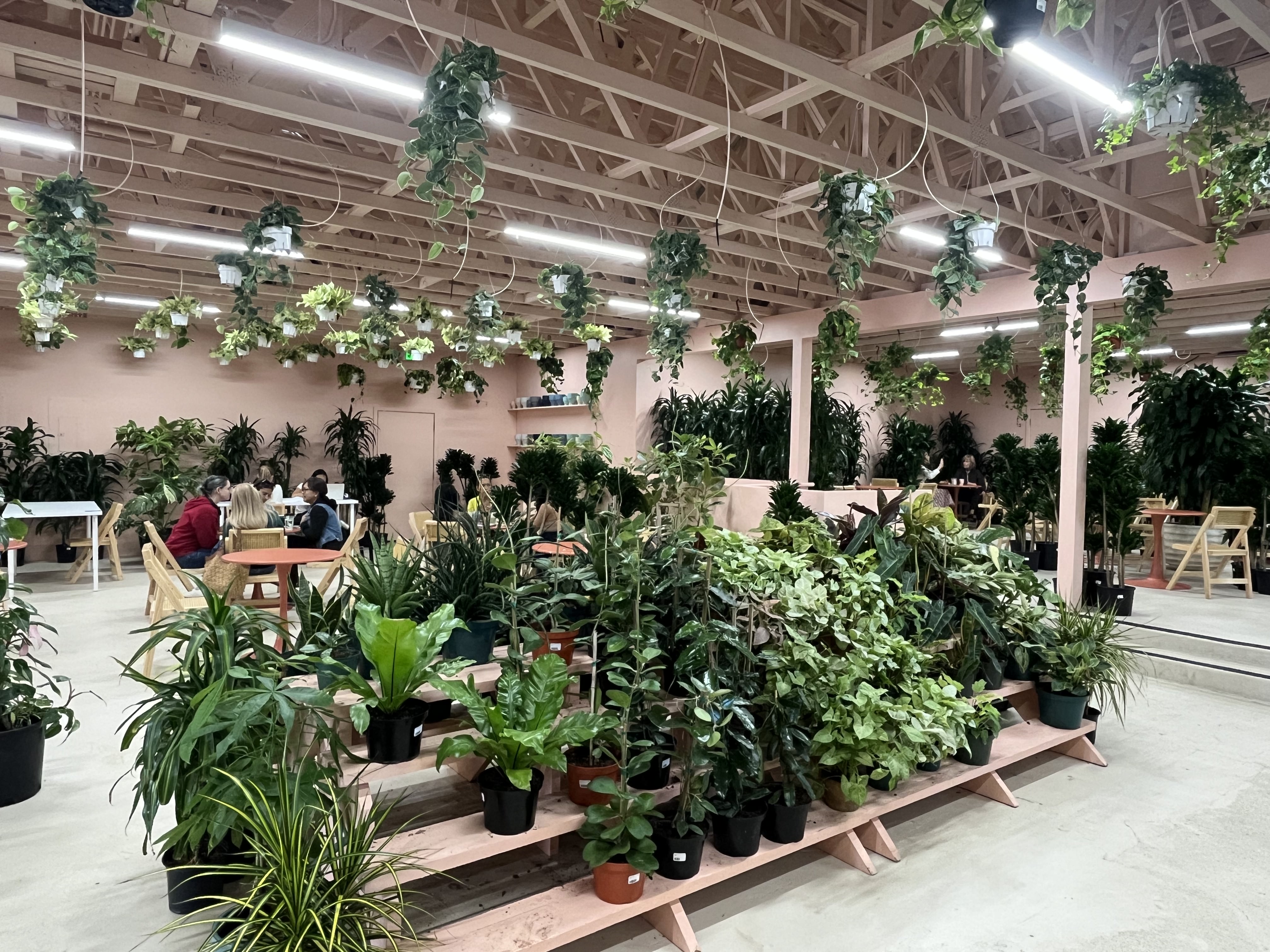 Inside the new Terra Bella Nursery in Del Mar. (Karen...