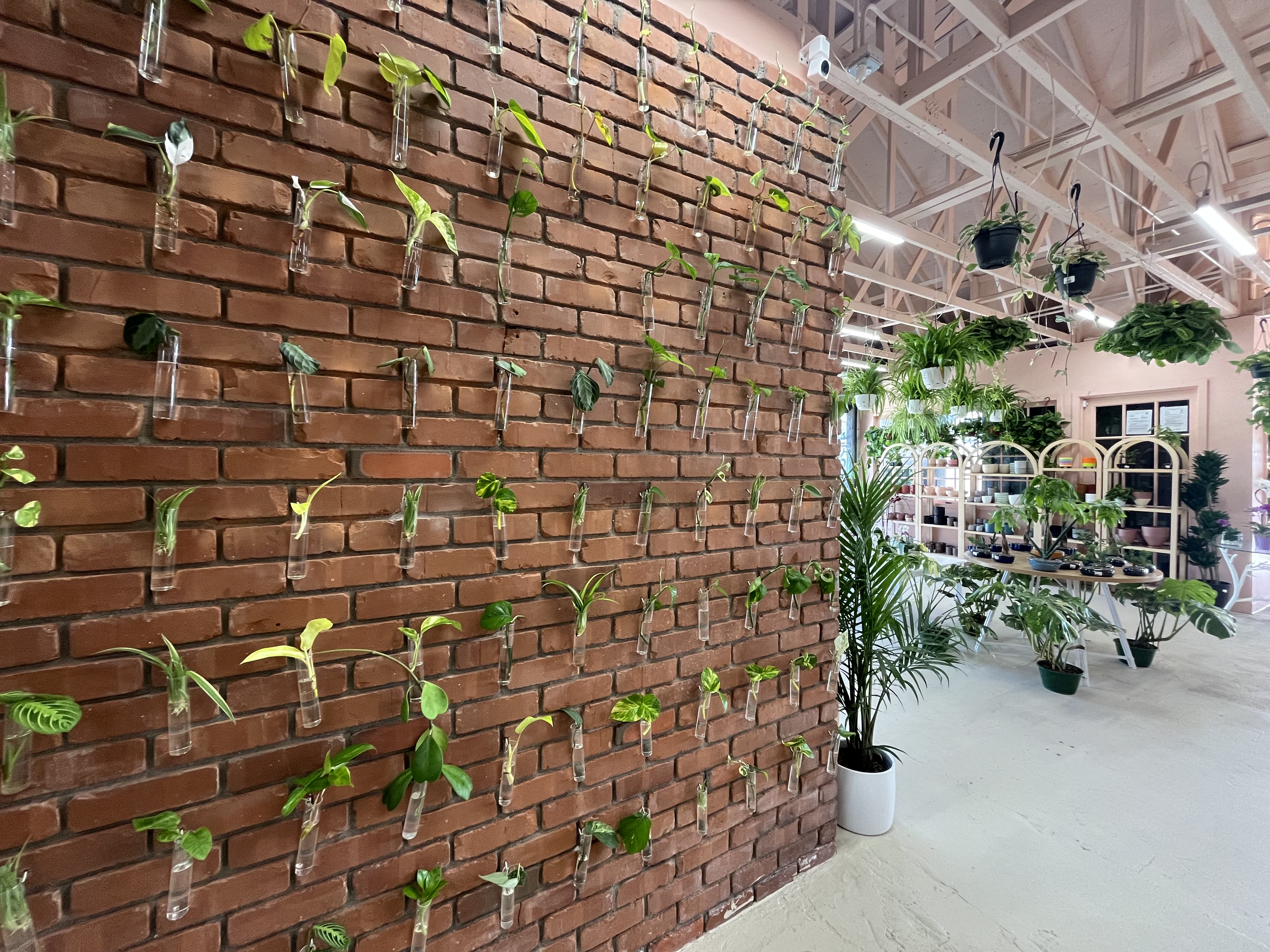 Inside the new Terra Bella Nursery in Del Mar. (Karen...