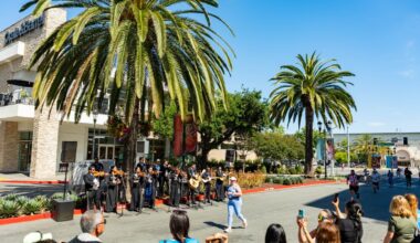 San José Half Marathon & 8K – NBC Bay Area