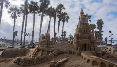 News Briefs: VFW picnic dinners, summer reading, South Bay ferry service, Sun & Sea Festival, Dr. Suess art