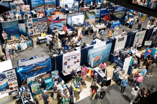 The 2026 Scuba Show, a celebration of diving and marine life, will take place at the Long Beach Convention & Entertainment Center on May 30 and 31. (Courtesy of Scuba Show)