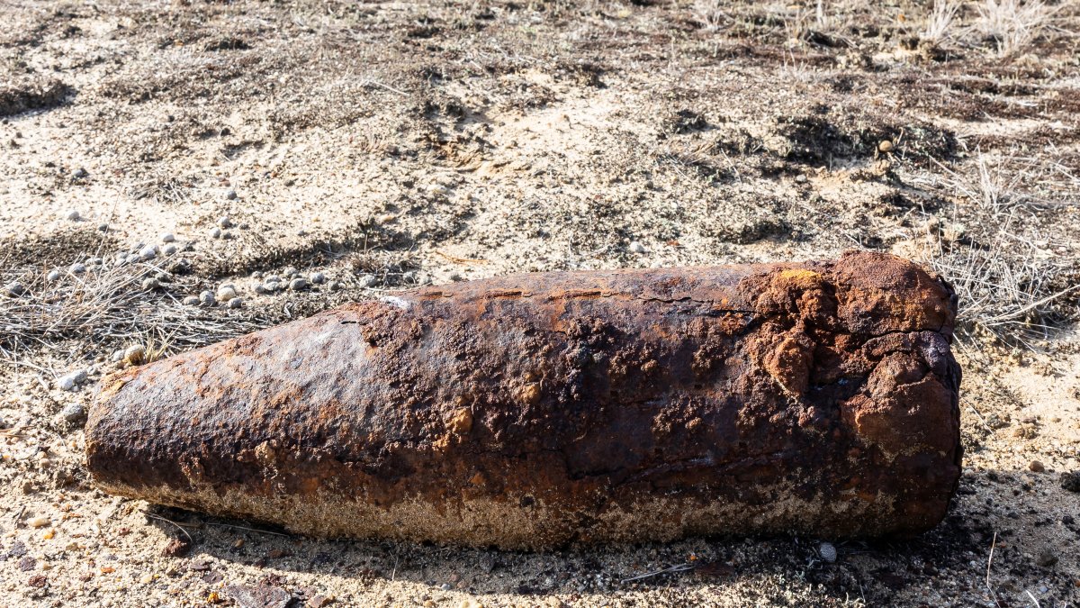 Marines, bomb squad called to remove apparent artillery shell in Torrey Highlands – NBC 7 San Diego