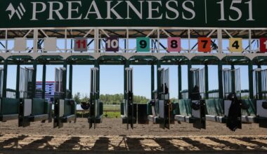 Napoleon Solo wins 151st Preakness Stakes – NBC Los Angeles