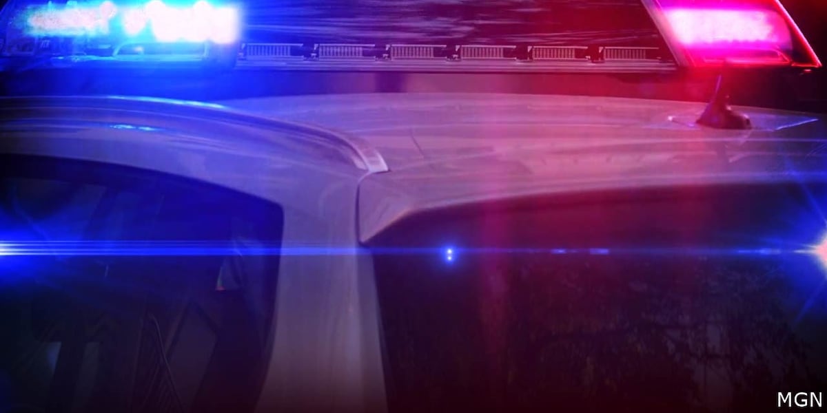 Service at MARTA train station temporarily suspended due to police activity, transit agency says
