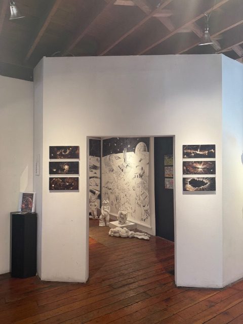 Galactic Nature exhibition entrance at The Loft at Liz’s with space-themed artwork and installation