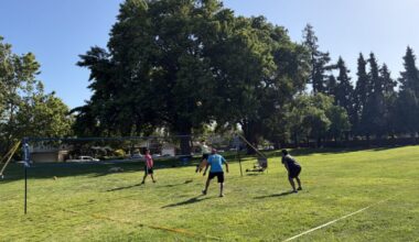 Sunnyvale residents opposed to park redesign